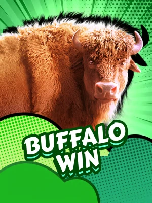 Buffalo Win