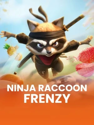 Ninja Raccoon Frenzy